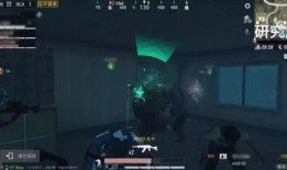 爆料新版本和平精英视频,独家视频带你领略全新游戏体验